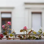 Appartement Downtown Synagogue *