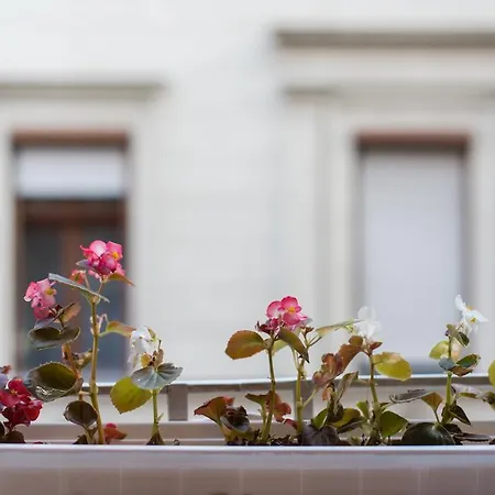 Daire Downtown Synagogue *