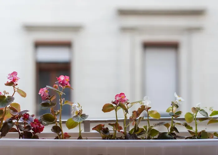 公寓 市中心犹太会堂酒店 *